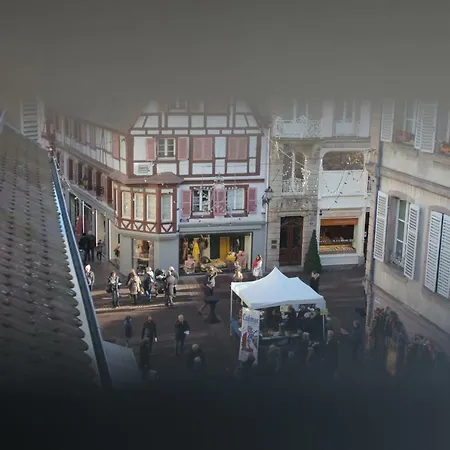 Honey-sorgatina Colmar